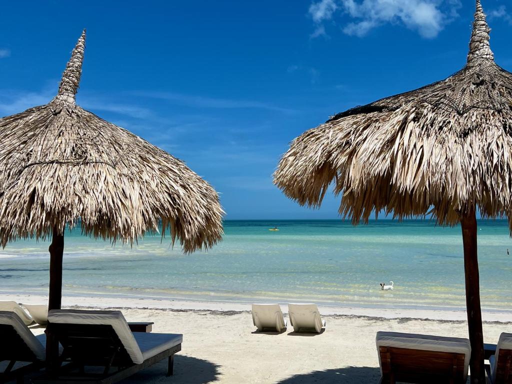 boutique hotels in Holbox