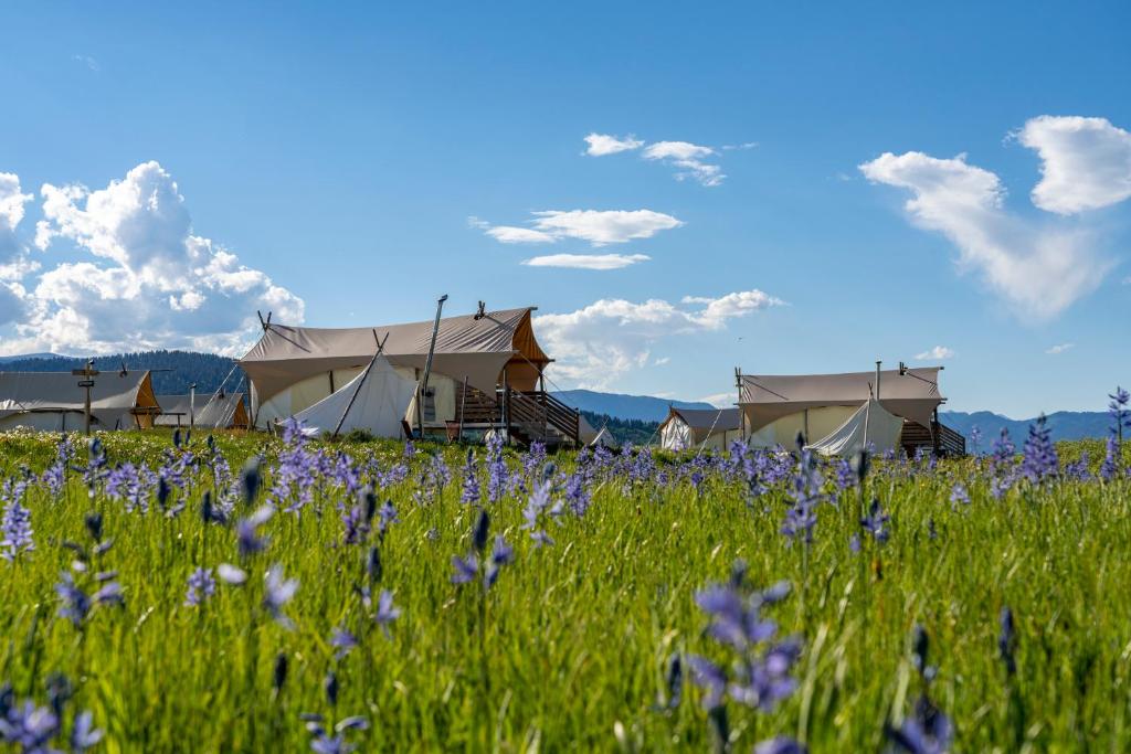 boutique hotels in Montana