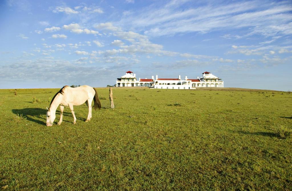 boutique hotels in Faro De José Ignacio