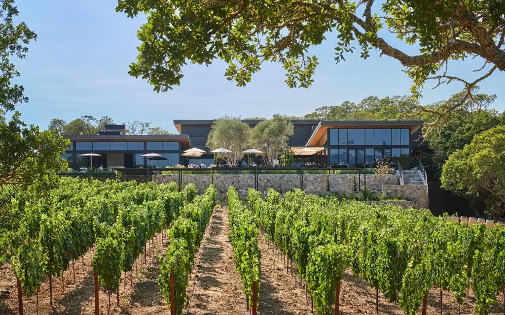 boutique hotels in Sonoma County